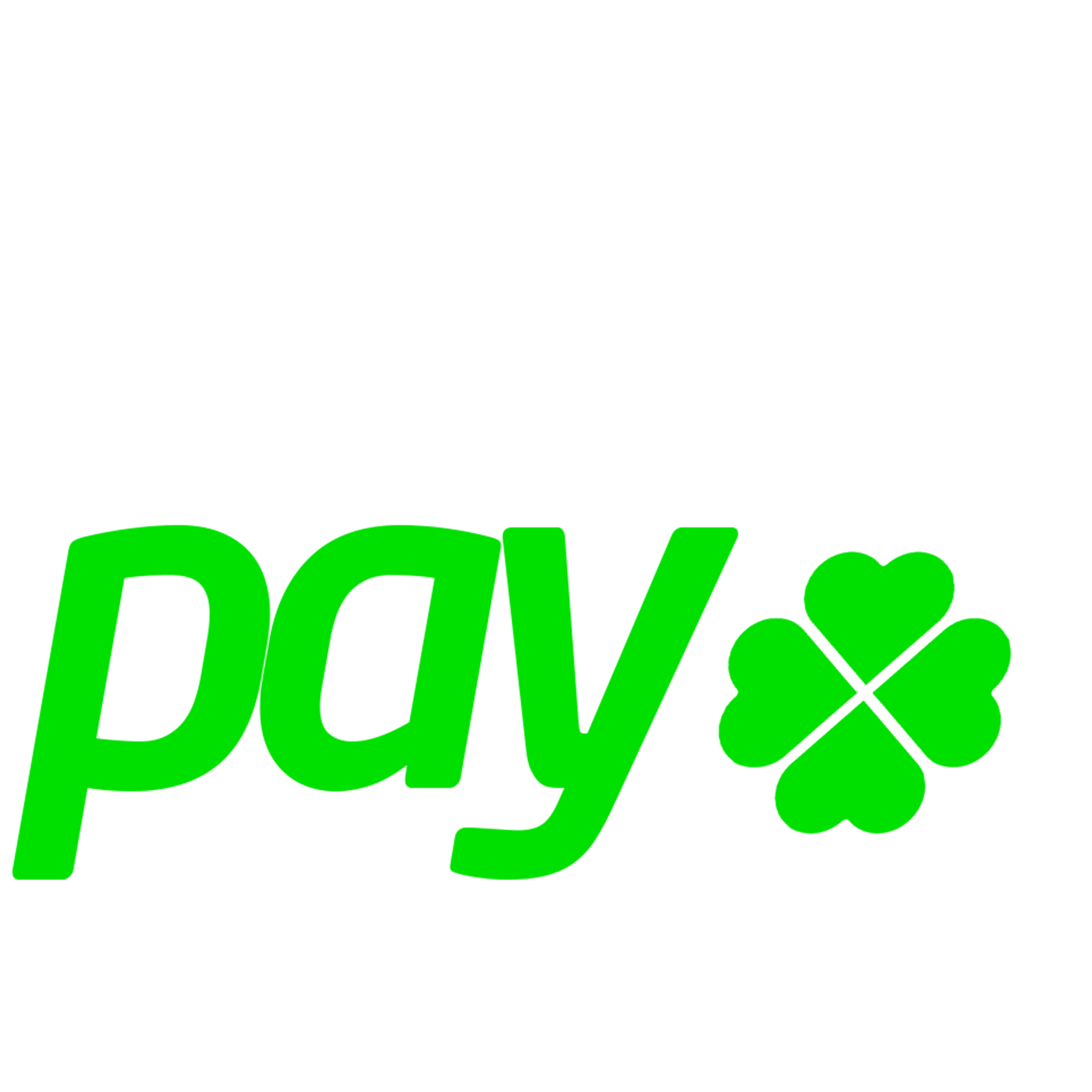 RaspeiPay